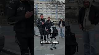 “게 섯거라”…도심 속 멧돼지 쫓은 휴머노이드 로봇 등장