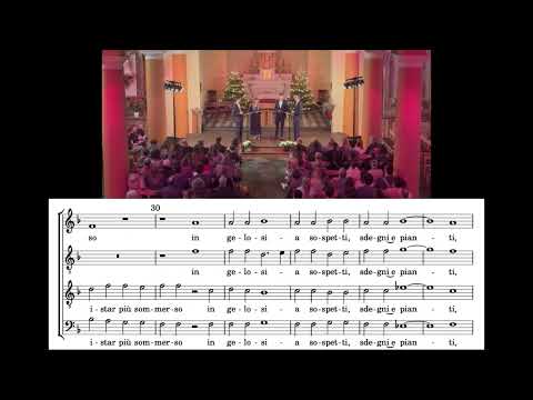 Little Byrds - Fuggi, fuggi, cor mio (Philippe Verdelot)