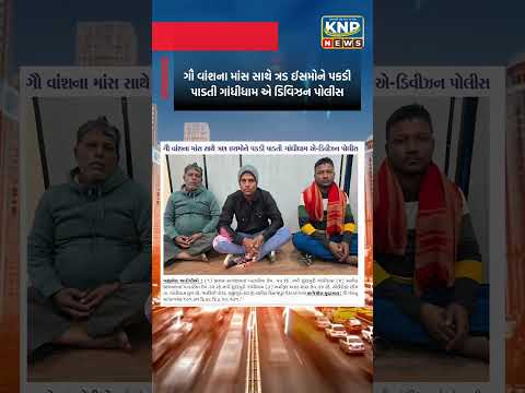 Newscow News