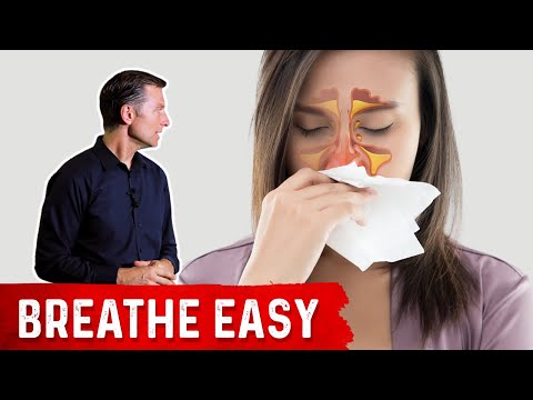 The Top 3 Best Gallbladder Herbs