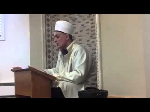 Da li je dozvoljeno ubijanje divljih zivotinja?