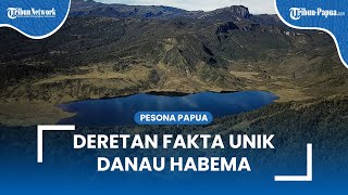 Deretan Fakta Unik Danau Habema di Pengunungan Jayawijaya, Suhu di Malam Hari Mencapai 0 Derajat