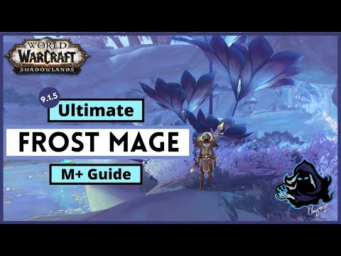 Ultimate M+ Frost Mage 9.1.5 Guide