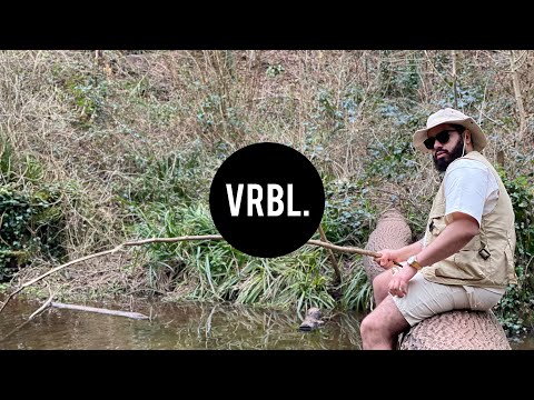 Fabien Darcy - Catfish (Official Video)