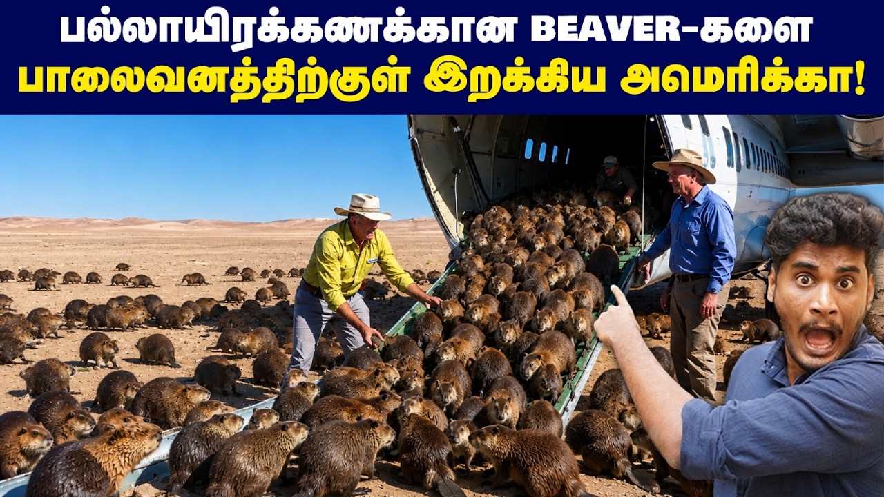 🤯😱50 வருடத்தில் America-வை அழிவில் இருந்து காப்பாற்றிய Beave