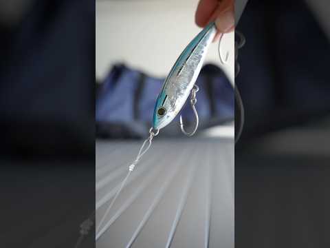 EASY Loop Knot Tutorial for Lures 🎣