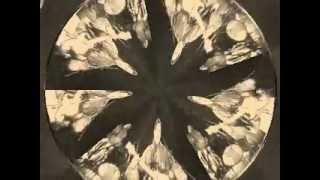 platero y tu_no quieres saludar video