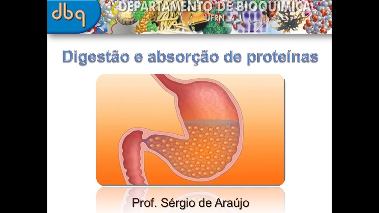 Curso de Bioquimica: Digestão e absorção de proteínas