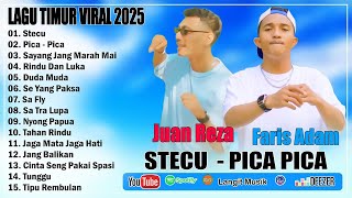 Download lagu STECU STECU - PICA PICA || FARIS ADAM & JUAN REZA || LAGU TIMUR VIRAL TERBARU 2025 mp3