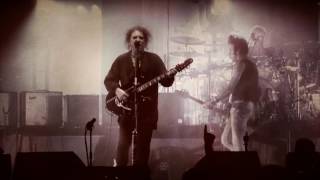 Happy Birthday Roger....At Night - The Cure - Bologna, Unipol Arena 29.10.2016 1