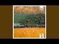 Haydn Variations, Op. 56a: Variation II: Più vivace