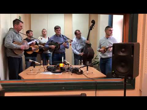 Tamburaški sastav Salaš - Imam kuma live @ 100% Slavonsko