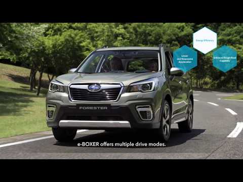 Energetická hospodárnost