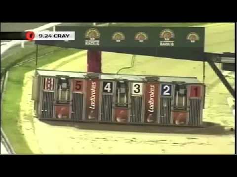 Crinkill Jewell - Kent St Leger 2012