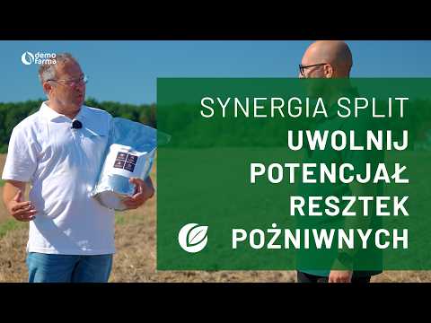 Film na temat: { video.title }}