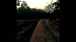 Download lagu Story'wa untukmu yang disana mp3 Download lagu Story'wa untukmu yang disana mp3