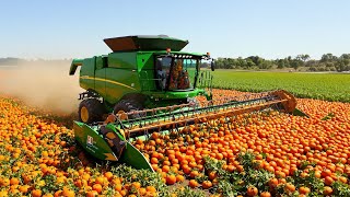 50 Modern Agriculture Machines Operating at Peak Efficiency #1