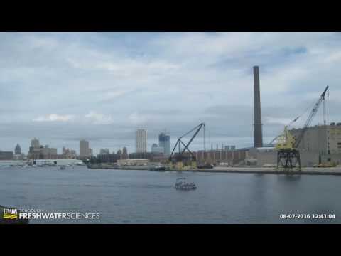 HD Webcam Timelapse 08-07-2016 - day