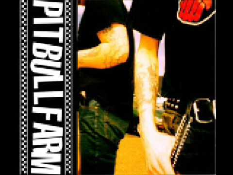 Pibullfarm - Army Of Assholes
