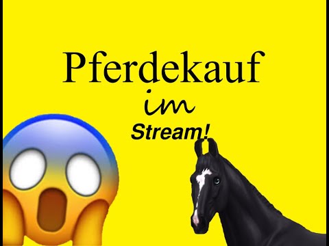 Ich kaufe mir ein altes Modell! xD / LIVE / Kelly Pinecry