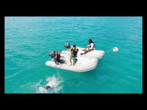 Island Time RIB Adventure Tour in BVI