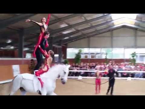 Weser Ems Meisterschaft (WEM) in Lohne 2016 - Kür Team Oldenburg 1 (Samstag)