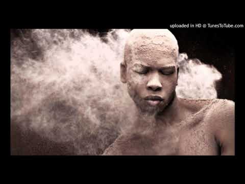 DeMajor ft. Lizwi - Traveller (Aimo Remix)