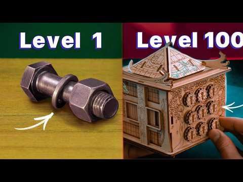 I Tested Level 1 to 100 impossible Puzzles