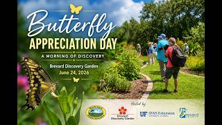 Butterfly Appreciation Day 2026