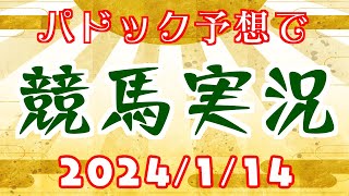 パドック予想で競馬実況.2024.1.14