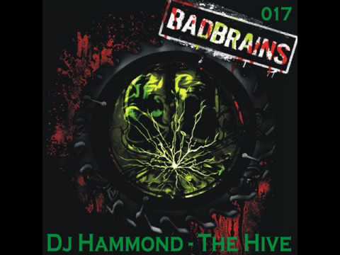 Dj Hammond - The Hive