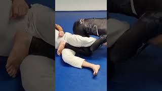 The Ultimate Guide to Saddle Defense Counter Back Take