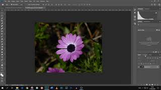 How to Convert a Channel Into a Layer in Photoshop for Black and White conversion.