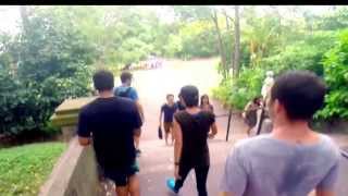 Sydney In Motion Running Tour Alpha