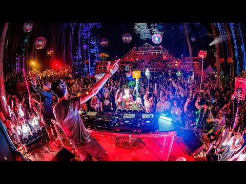 WHETHAN LIVE @ ELECTRIC FOREST 2025