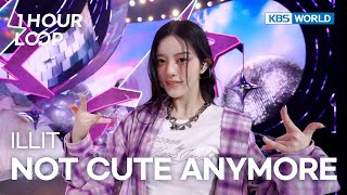 Download lagu [1HR LOOP🔥] ILLIT - NOT CUTE ANYMORE [Music Bank] | KBS WORLD TV 251128 mp3