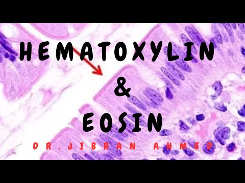 OSTEOGENIC TX II FLETCHERS 5TH E II ROBBINS 10TH E II POST GRADUATE LEARNING II DrJIBRANAHMED
