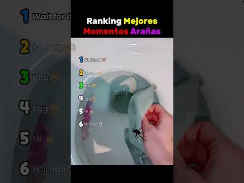Ranking Mejores Momentos Arañas