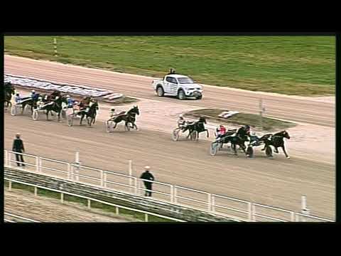 Trotto 28/01/2020 - 1ª corsa