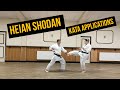 Heian Shodan Bunkai Basic