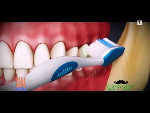 Lav ereko govazd #lavereko #laverekogovazd