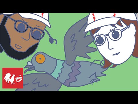 Bird! Batta Batta - Rooster Teeth Animated Adventures