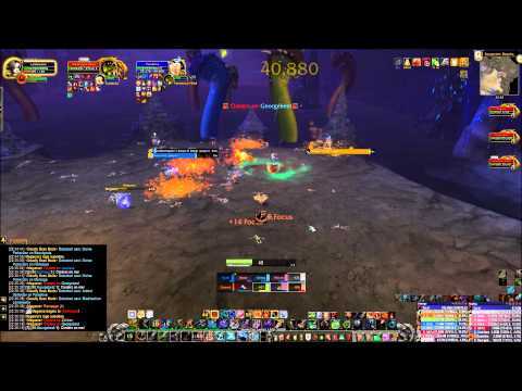 Megaera 10 man Normal - Hunter PoV