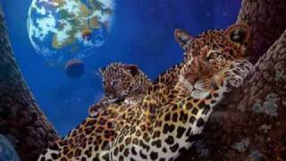 Oliver Shanti &amp; friends - Onón Mweng (Rainbird)