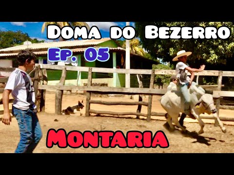 Doma do Bezerro Ep. 05 - Montando pela Primeira Vez - Irmãos Mach´s