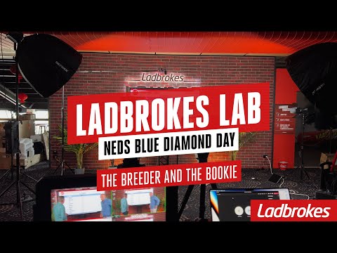 Ladbrokes Lab - Blue Diamond Stakes & Futurity Stakes