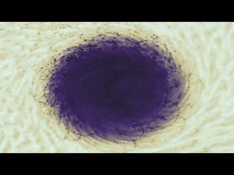 beat de trap salsa 128 BPM