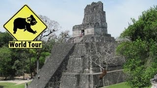preview picture of video 'Guatemala │Voyage Tour Du Monde ► Tikal Pyramides site Maya'
