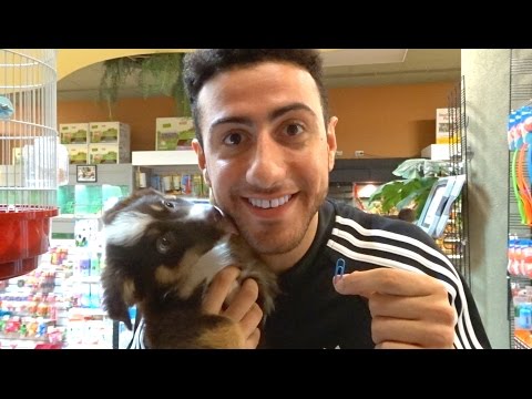 Trading A Paperclip For A Puppy!! Video