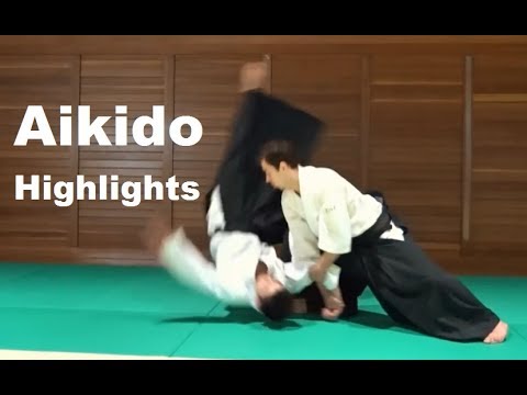 Dynamic Aikido Highlights - 合気道技まとめ